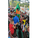 Children surrounding the Wood Duck Baseball Mascot for autographs.