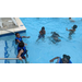 Children playing in the pool and dunking under the water.