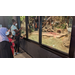 Children and adults looking at a nature exhibit that has a bird in it. 